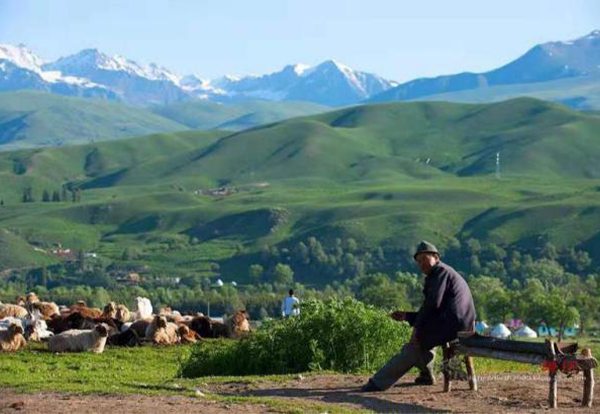 新疆高端旅游公司