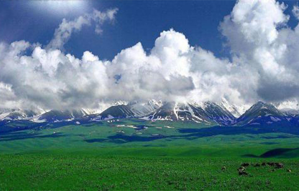 新疆高端旅游公司