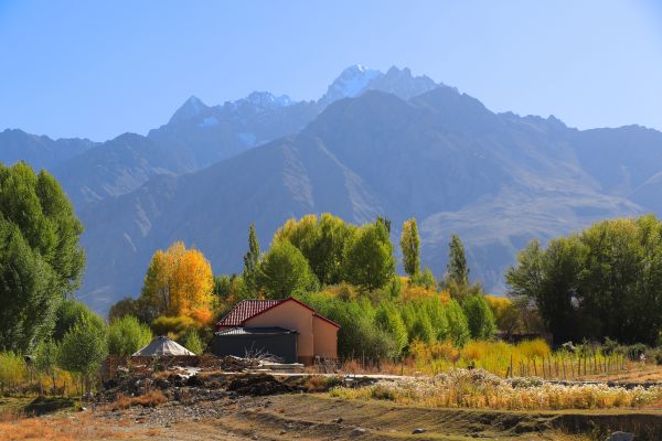 新疆高端旅游服务