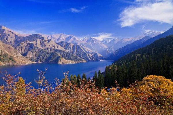新疆高端旅游