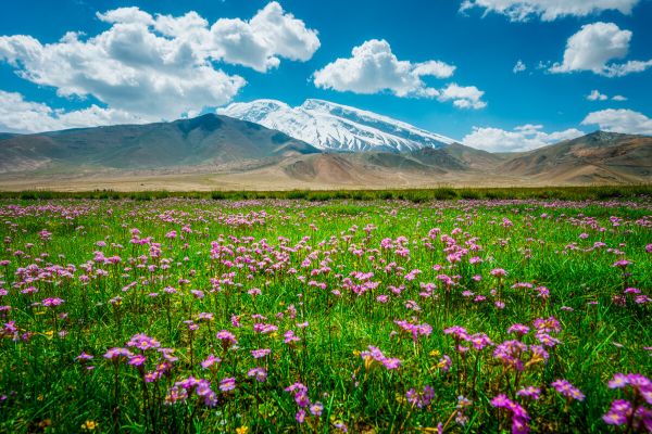 新疆高端旅游.jpg